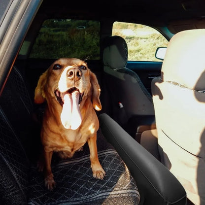 Cama Inflable para Auto – Colchón de Viaje para Asiento Trasero